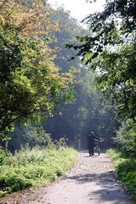 cycle track